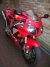 Honda VTR 1000